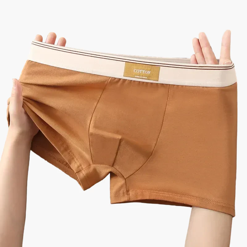 Boxers homme confort quotidien style moderne – Pack de 5 sous-vêtements invisibles et respirants - Image 3
