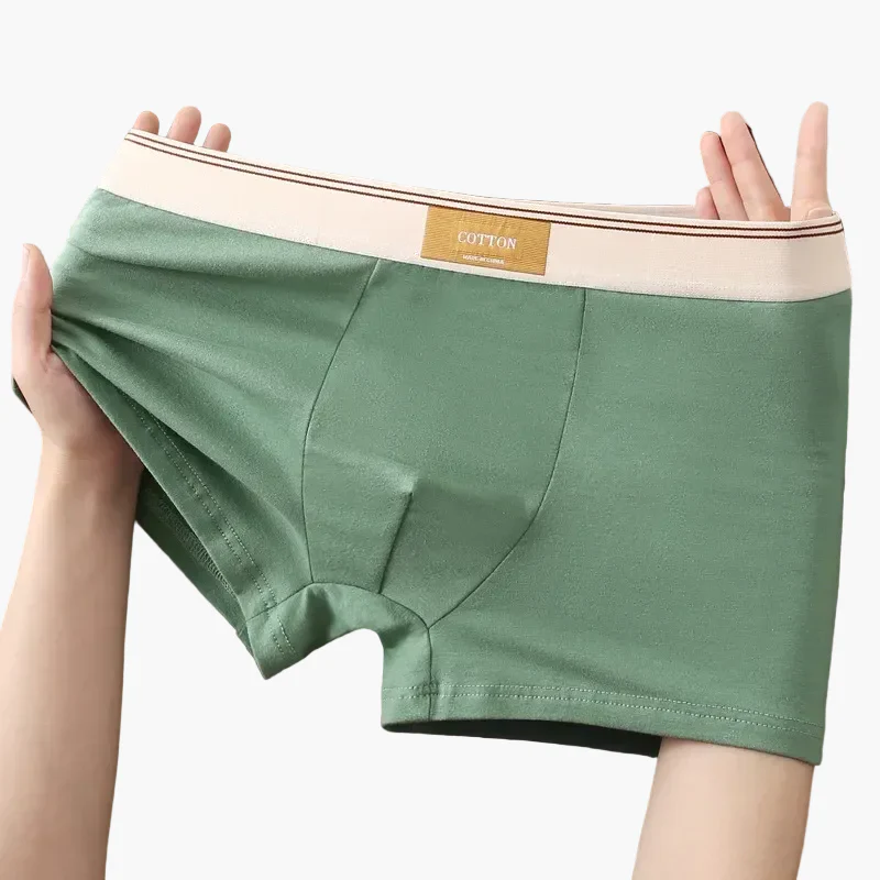 Boxers homme confort quotidien style moderne – Pack de 5 sous-vêtements invisibles et respirants - Image 4