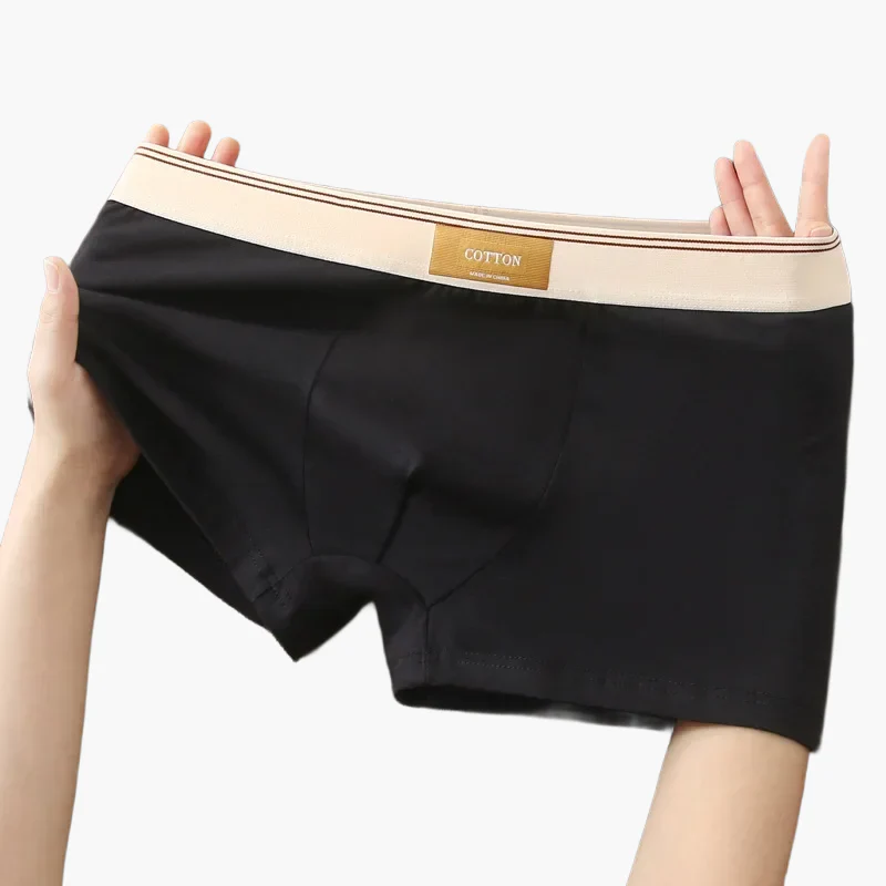 Boxers homme confort quotidien style moderne – Pack de 5 sous-vêtements invisibles et respirants - Image 5