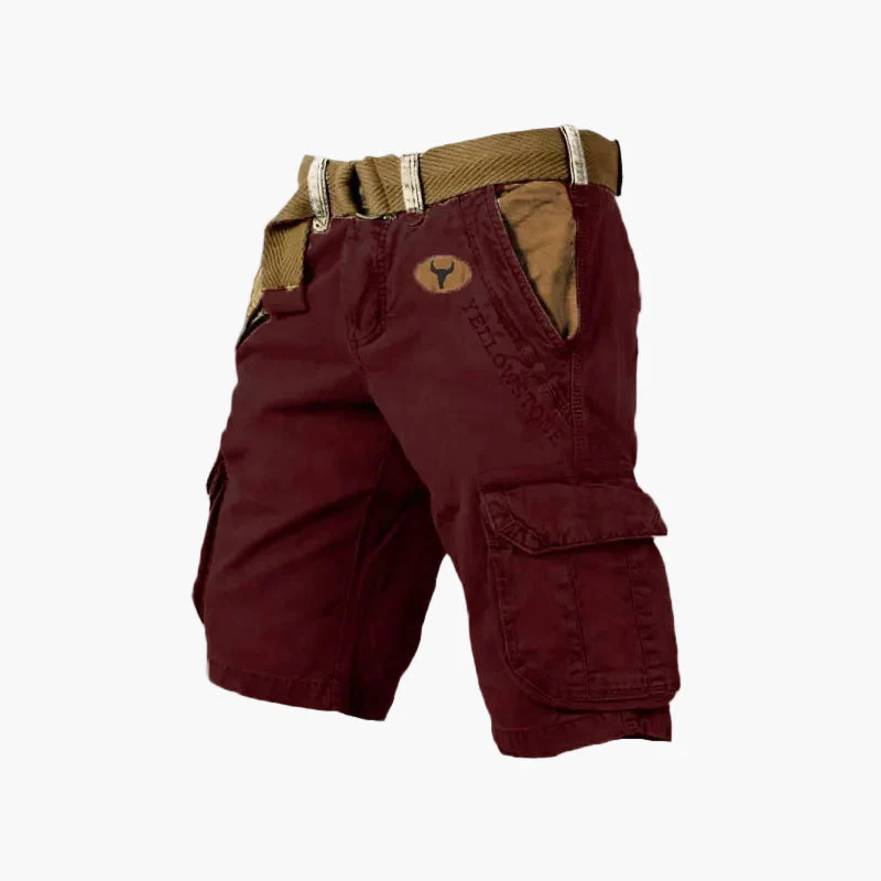Short cargo homme style aventure polyvalent pour activités extérieures et loisirs - Image 8